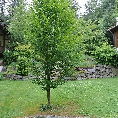 Zwieseler Waldhaus 3* Lindberg