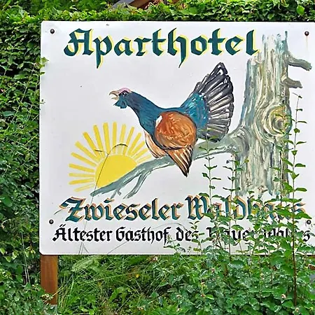 Hotel Zwieseler Waldhaus Lindberg