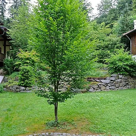 Zwieseler Waldhaus Hotel
