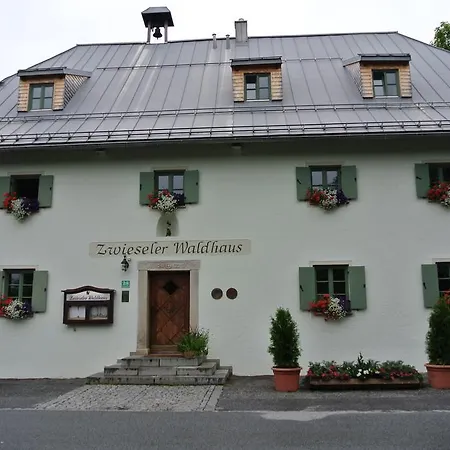 Zwieseler Waldhaus Hotel 3*